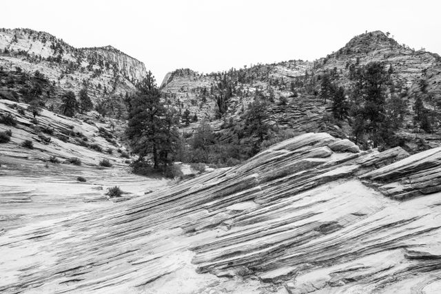 A landscape of sandstone and slickrock near the Zion-Mount Carmel Highway. In the foreground, a wave-like sandstone formation can be seen.