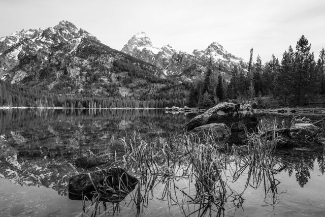 Taggart Lake. In the background, Nez Perce, Grand Teton, and Teewinot Mountain. In the foreground, rocks and dry reeds in the water.