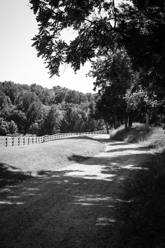 A winding dirt road near James Madison's Montpelier, in Orange, Virginia.