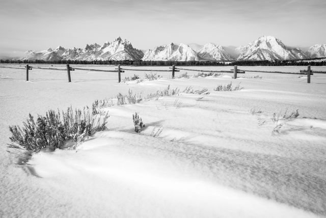 The Teton Range, seen in winter from Elk Ranch Flats. A wooden cattle fence can be seen in the middle of the frame, and in the foreground, sagebrush in wind-swept snow.