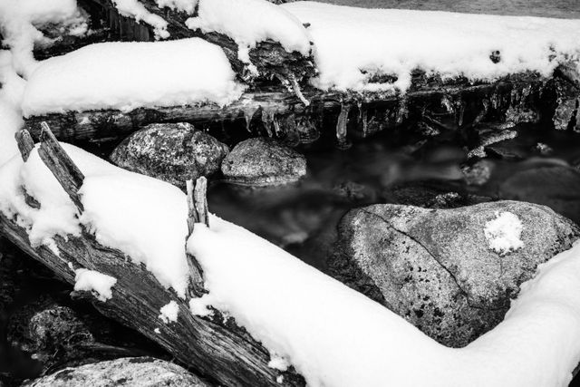 Taggart Creek streaming under snow-covered logs and rocks.