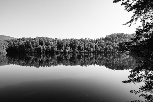 Greasy Creek, near Lake Ocoee, Tennessee.