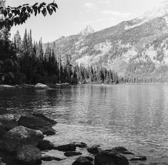 The shores of Jenny Lake, with the Tetons in the background.