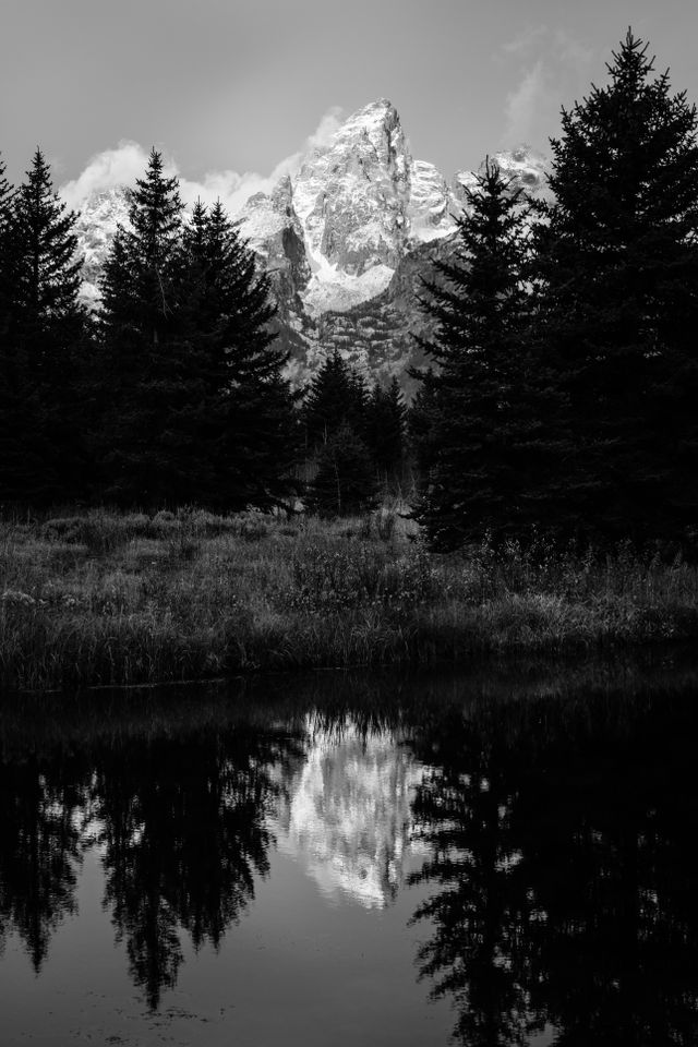 Grand Teton, seen covered in snow between pine trees, and reflected in the surface of a pond.