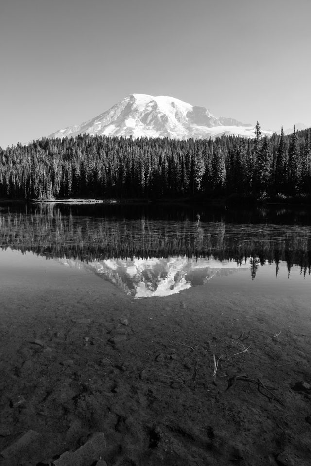 Mount Rainier, reflected off the surface of the Reflection Lakes in Mount Rainier National Park.