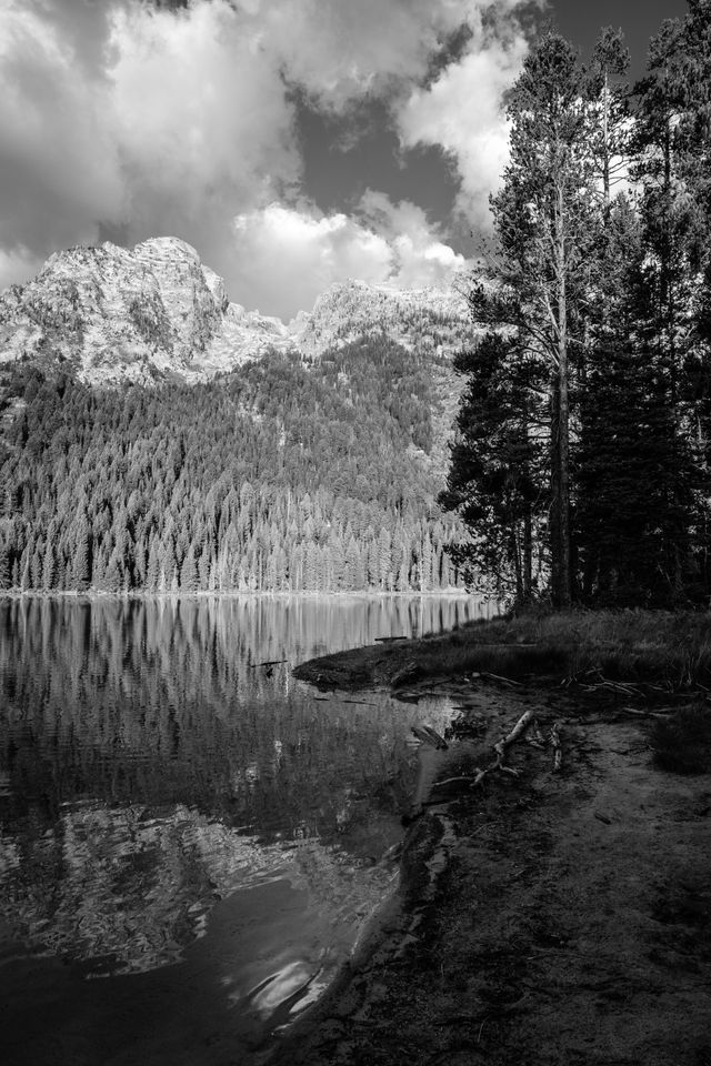 The shore of String Lake, with the Teton range reflected in the water.