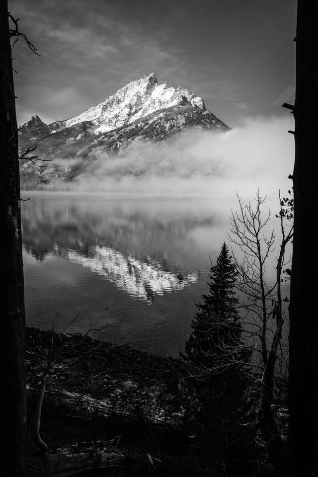 Teewinot Mountain, partially covered in fog, framed by trees at the shore of Jenny Lake.