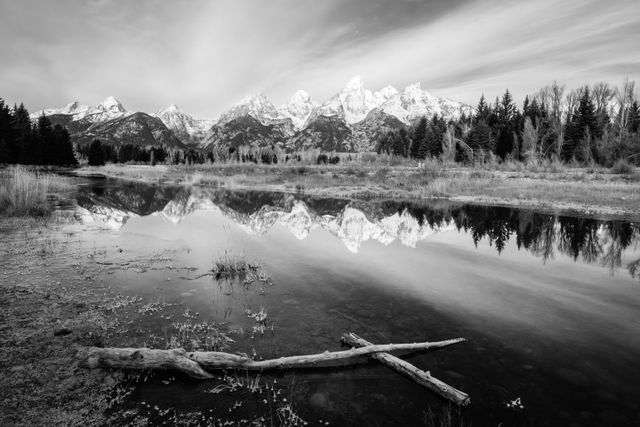 The Teton Range, seen from Schwabacher Landing. In the foreground, a pair of frozen logs.