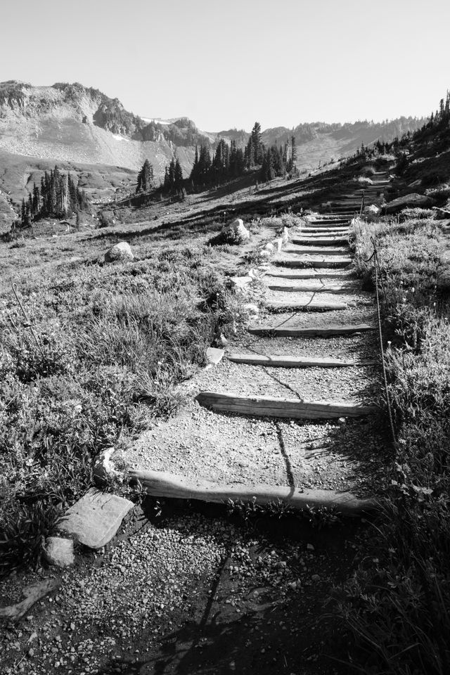 The Golden Gate Trail at Mount Rainier National Park.