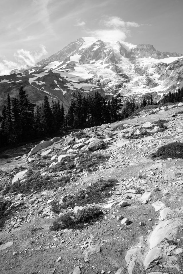 Mt. Rainier seen from the Deadhorse Creek Trail in Mt. Rainier National Park.