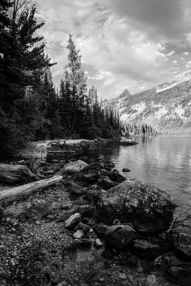 The shore of Jenny Lake. A large boulder and a fallen tree are in the foreground.