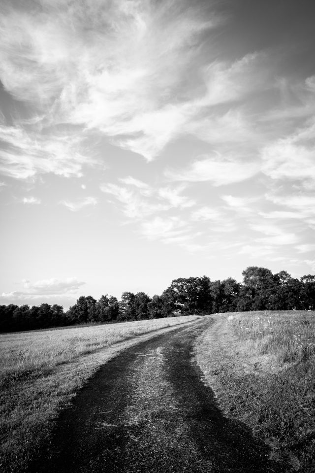 A winding road near Orange, Virginia.