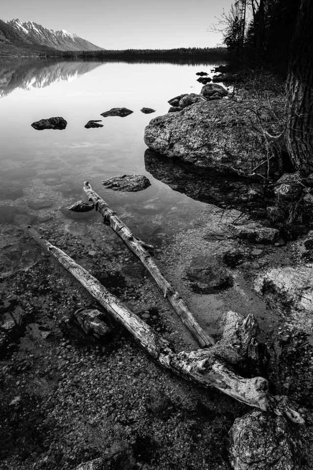 Boulders and a log on the shore of Jenny Lake.