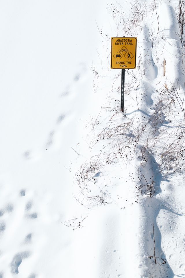 A sign that reads "Anacostia River Trail", in the snow.