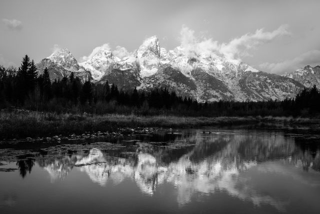 The Cathedral Group of the Tetons, seen reflected in the water at Schwabacher Landing in fall.