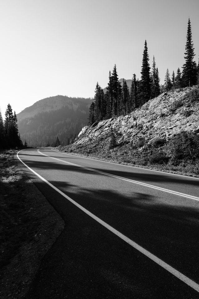 A curving road near the Reflection Lakes in Mount Rainier National Park.