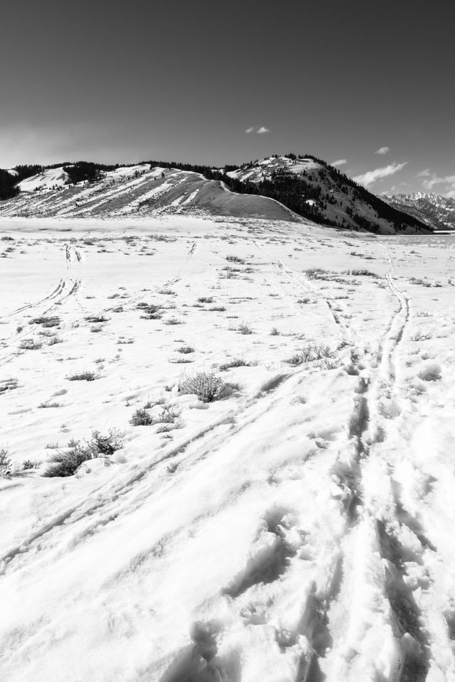 Tracks on the snow near the Gros Ventre Road, with Blacktail Butte in the background.