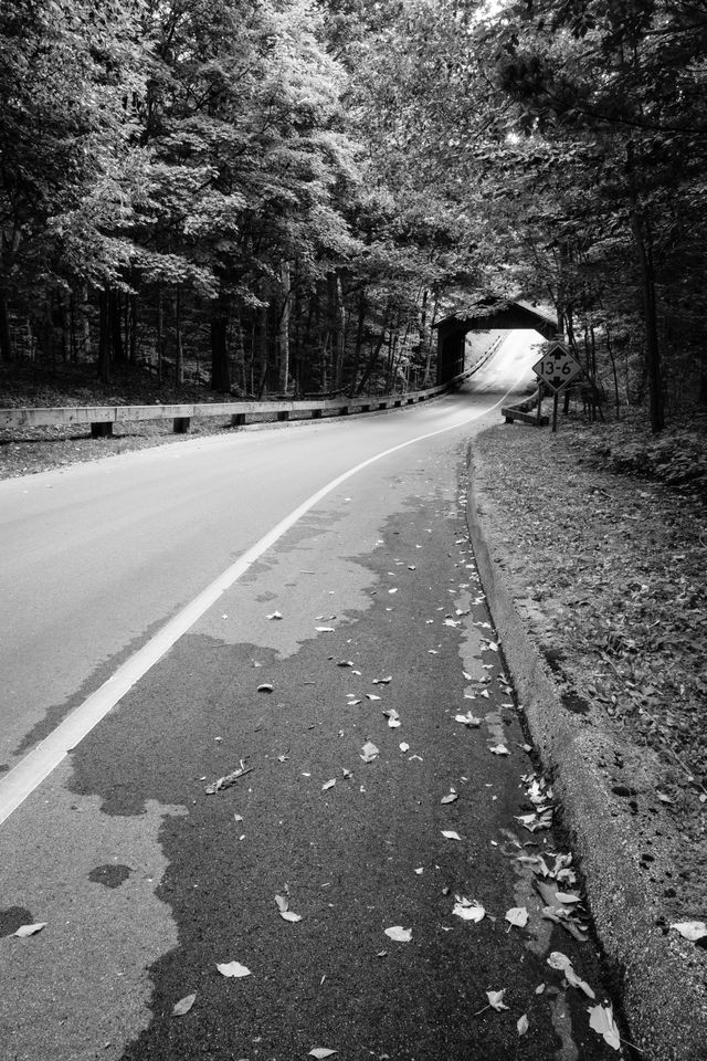 The Pierce Stocking Scenic Drive road leading down to the covered bridge.