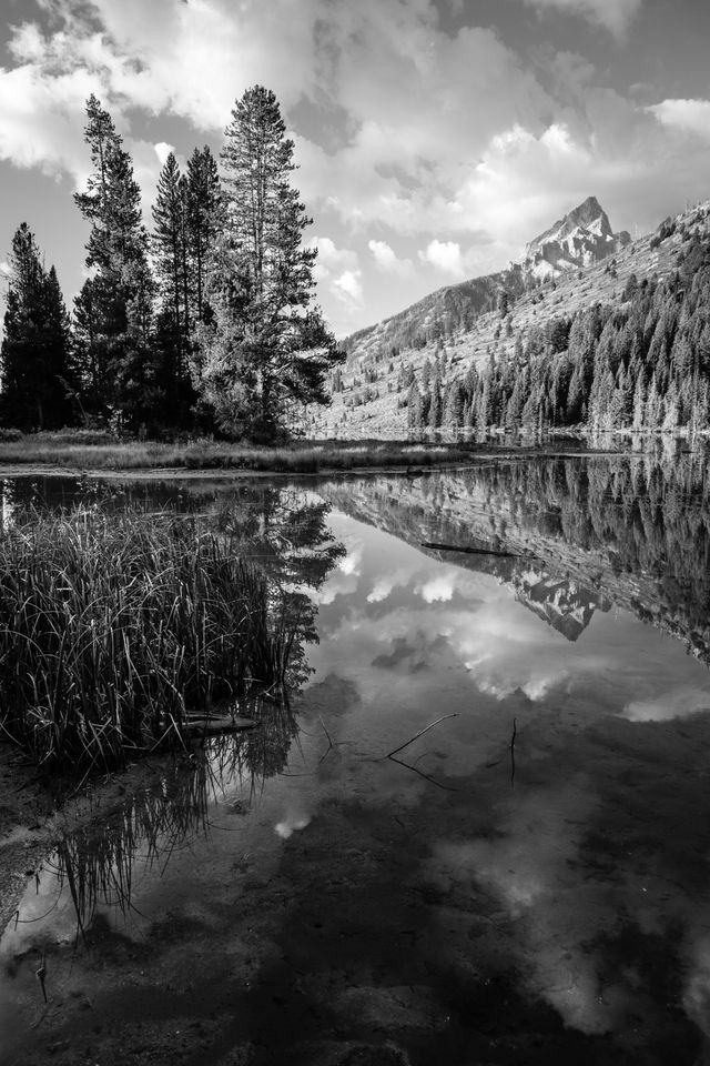 Teewinot Mountain, reflected off the surface of String Lake.