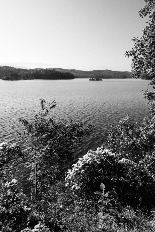 An island on Lake Ocoee, Tennessee.