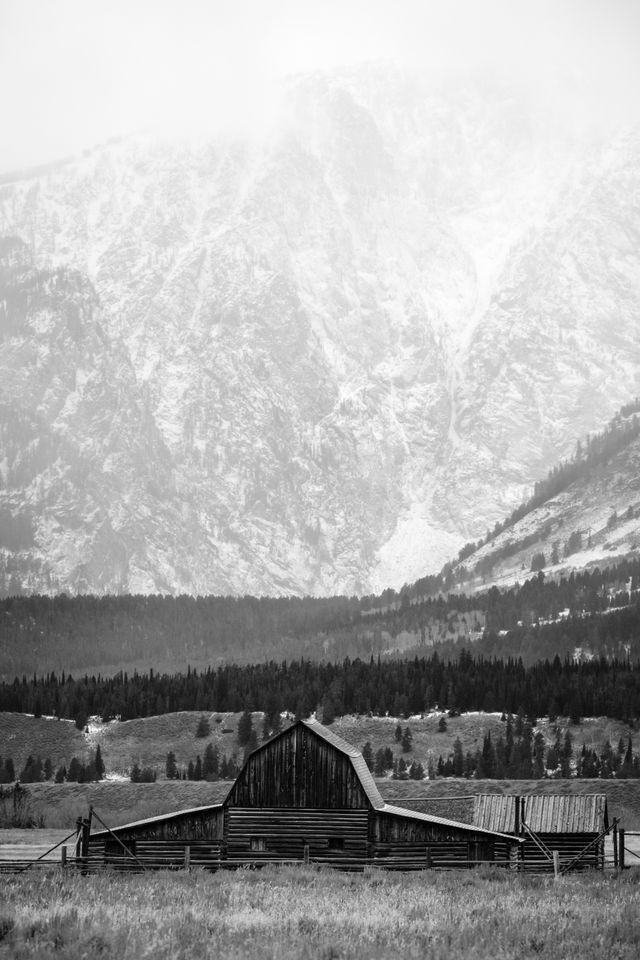 The John Moulton Barn with the Tetons in the background during a snow storm.