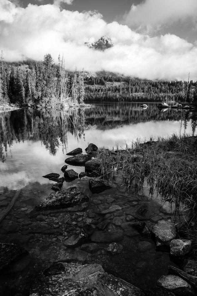 Rocks and grasses on the shore of Taggart Lake. In the background, Teewinot Mountain poking out from the clouds.