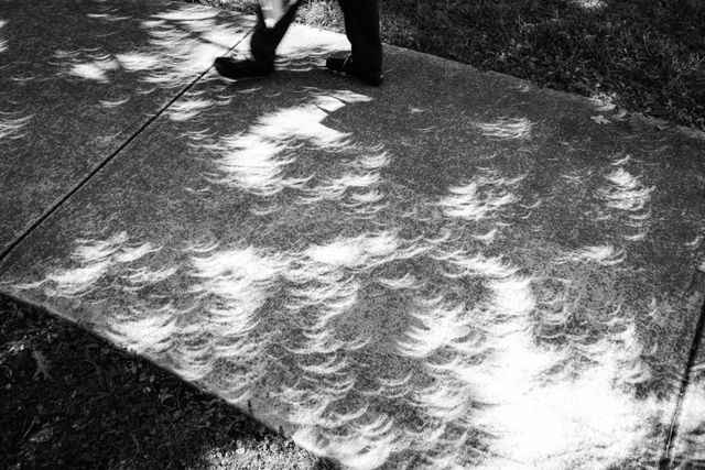 Crescent-shaped shadows on a sidewalk in Etowah, caused by the pinhole effect during the 2017 solar eclipse.