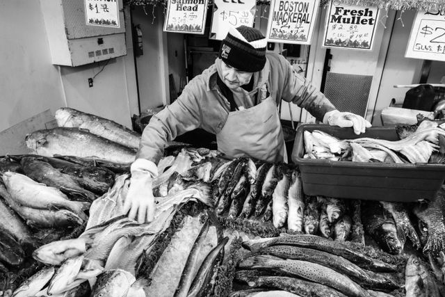 A man putting fish on display at the Maine Avenue Fish Market.