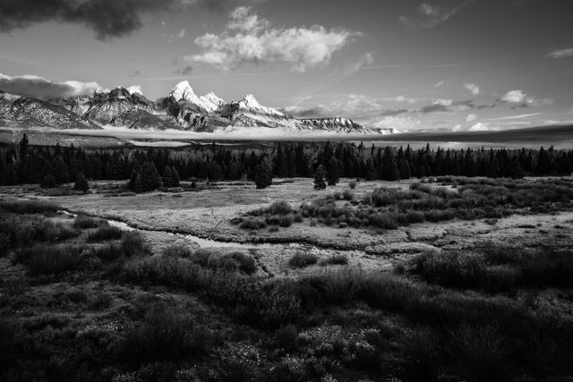 The Tetons at sunrise, seen from the Blacktail Ponds overlook. A low layer of clouds hangs just above the treeline.