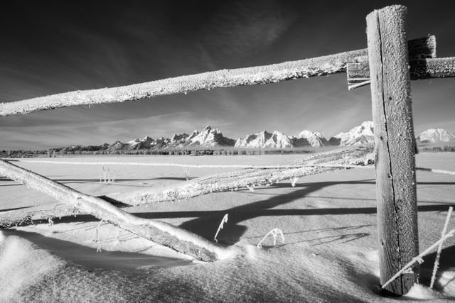 The Teton Range, seen through a frost-covered fence at Elk Ranch Flats.