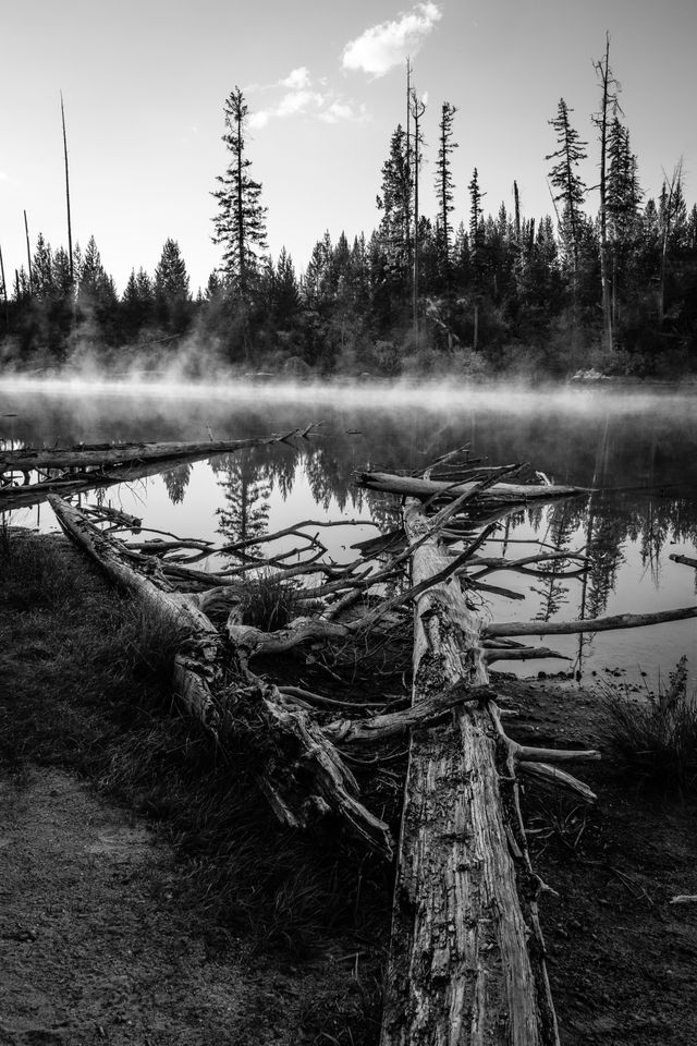 Two fallen trees in the shape of a "V", framing the mist-covered surface of String Lake.