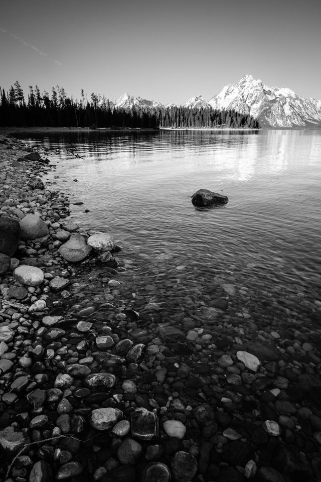 The shore of Jackson Lake, covered in pebbles and boulders. In the background, Mount Moran.