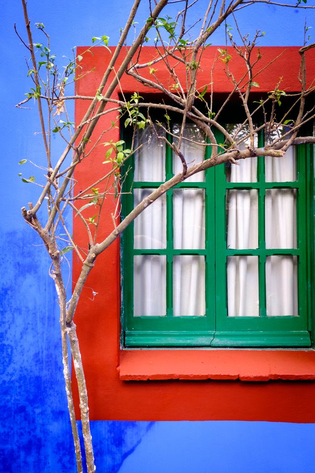 A very colorful green window on an equally colorful red and blue wall at the Frida Kahlo Museum.