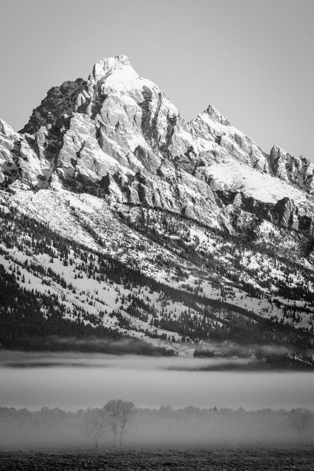 Grand Teton at sunrise, with a blanket of fog at the base of the mountain.