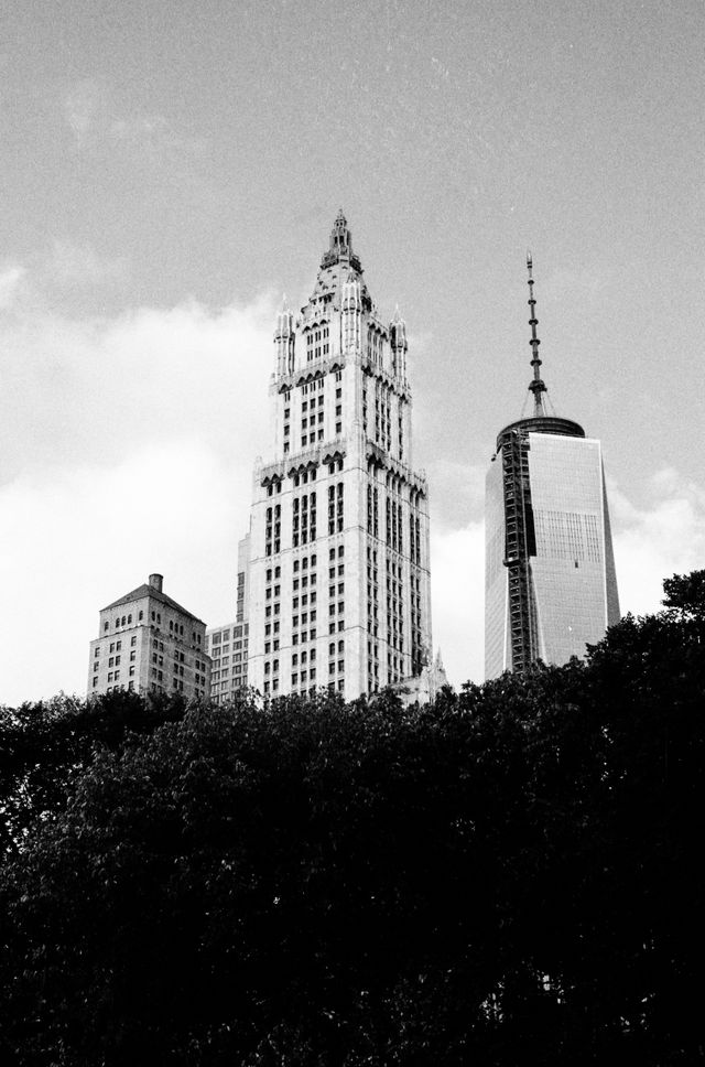 Buildings, including One World Trade Center, seen from City Hall Park, New York City.