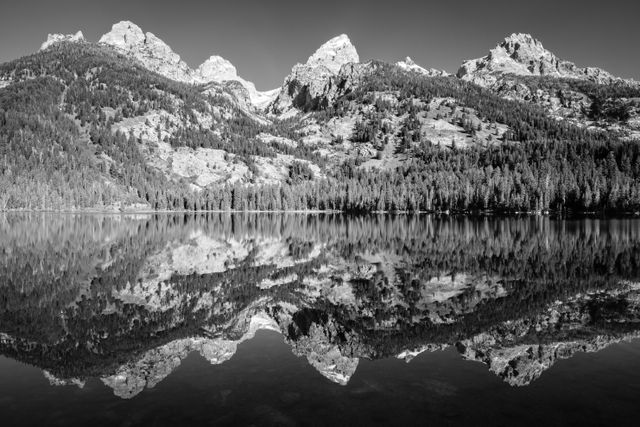 From left to right, Nez Perce, Middle Teton, Grand Teton, and Teewinot, reflected off the waters of Bradley Lake.