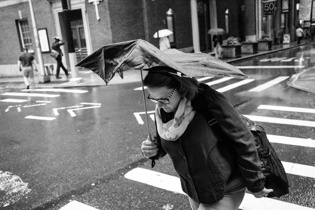 A woman carrying an umbrella, crossing William Street in the rain.