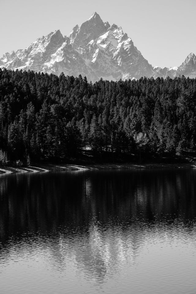 Grand Teton and Teewinot Mountain reflected off the waters of Jackson Lake, behind a line of trees at Grand Teton National Park.