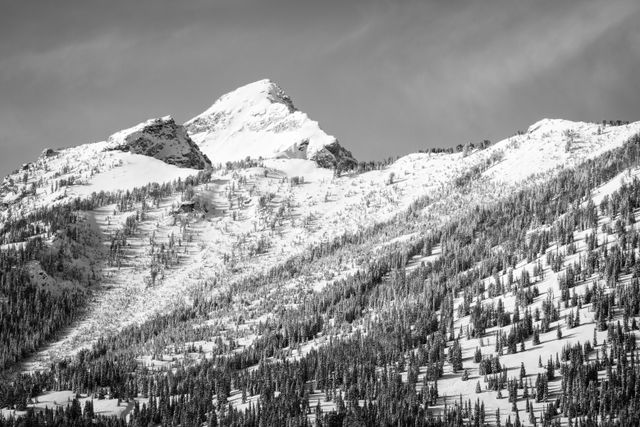 A peak in the Teton range, with its slopes covered in snow and trees.