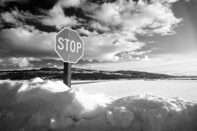 A stop sign half-buried in the snow at the Elk Ranch Flats Turnout.