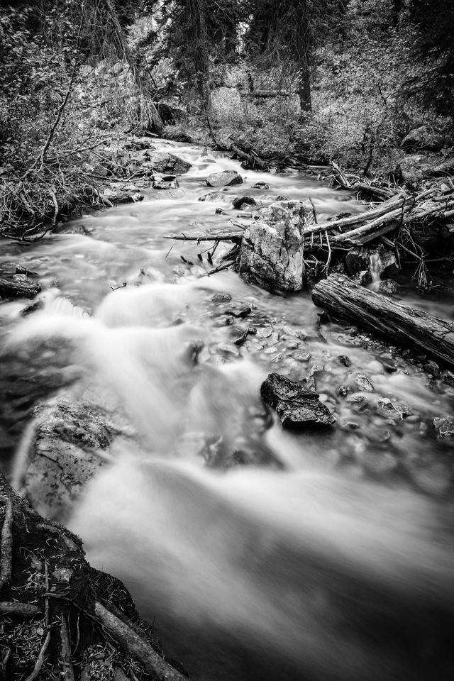 Cascade Creek, in Grand Teton National Park.