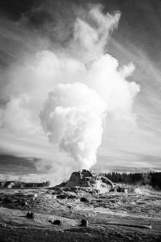 A steam plume rising off of Castle Geyser during an eruption.