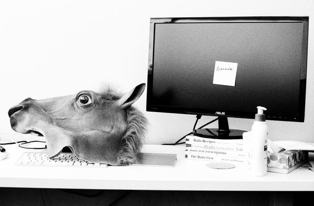 A horse mask on Steve's desk.