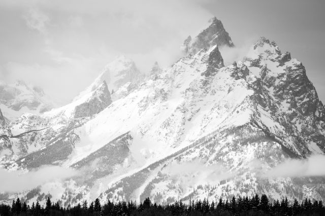 Close-up of Grand Teton and neighboring peaks, with a line of pine trees at the bottom, from the Elk Ranch Flats turnout.