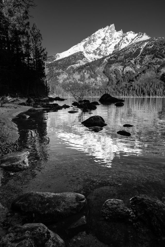 Teewinot Mountain, reflected off the waters of Jenny Lake.