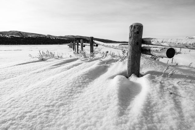 A wooden cattle fence and sagebrush in wind-swept snow in the winter. In the background, a pine forest and rolling hills.