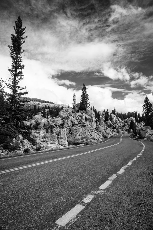 A winding road in the Hoodoos, Yellowstone National Park.