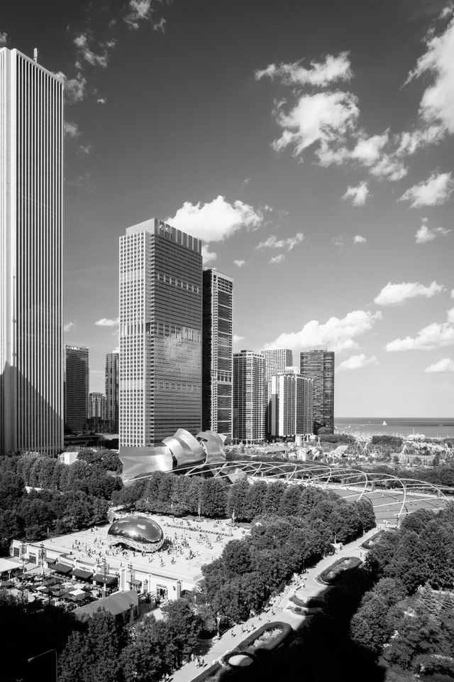 View of Millennium Park and Cloud Gate, from Cindy's Rooftop.