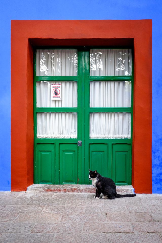 A black and white cat in front of a door at the Frida Kahlo Museum in Coyoacán.