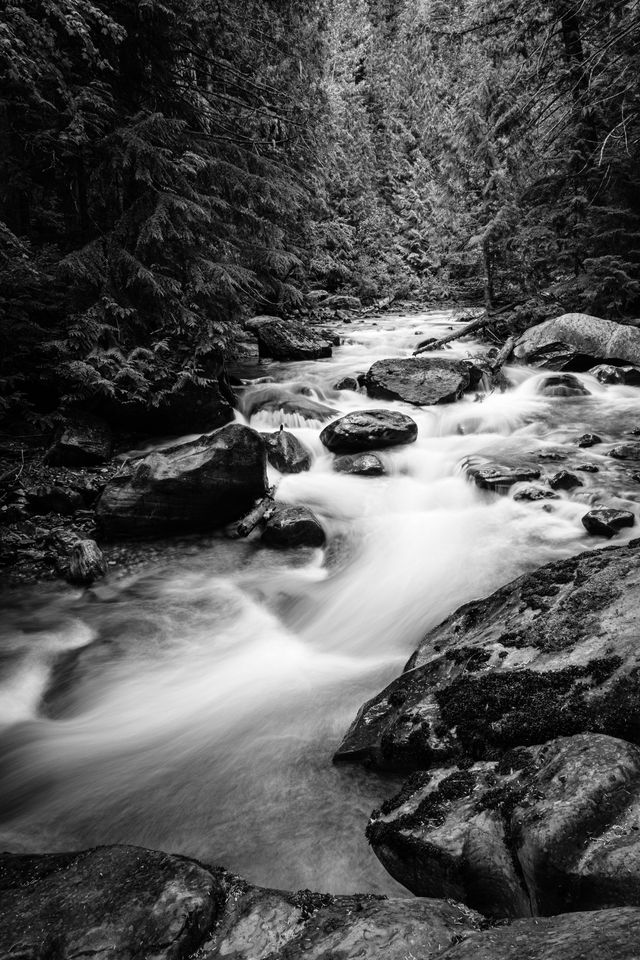 Avalanche Creek, running over rocks in the woods alongside the Avalanche Lake Trail.